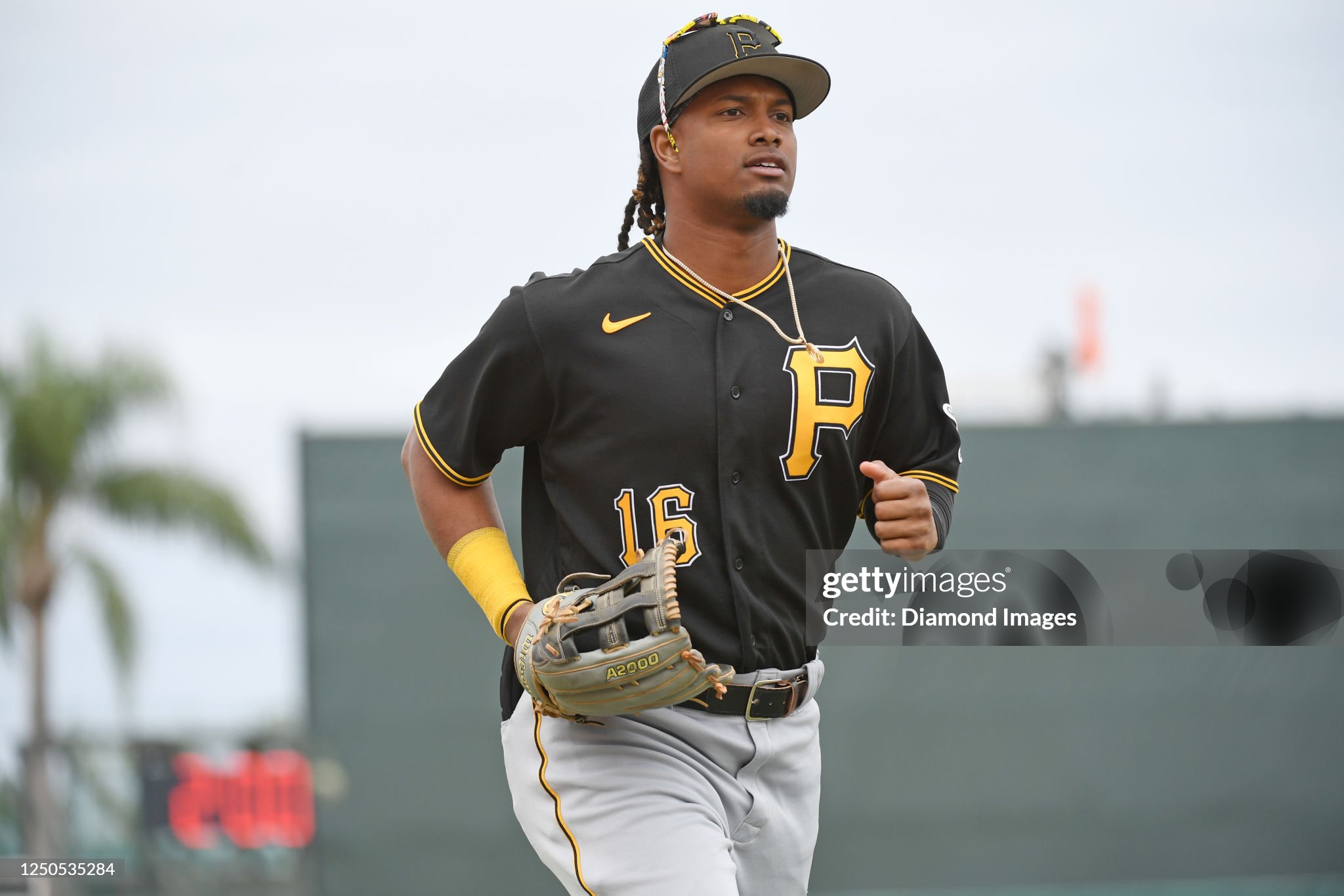 Scouting Prospects; The Top 30: Shalin Polanco
