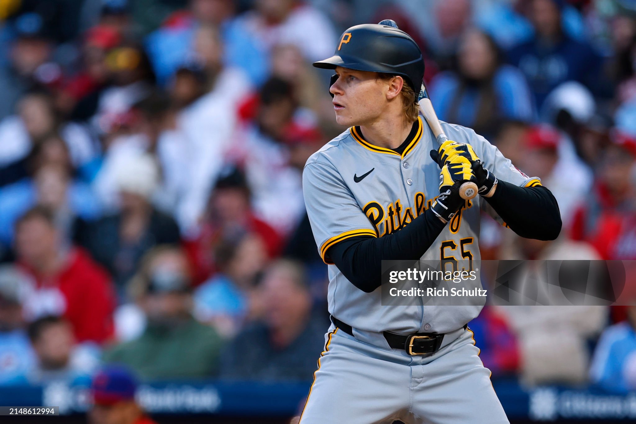 Bats on Shoulders: The Pirate Way?