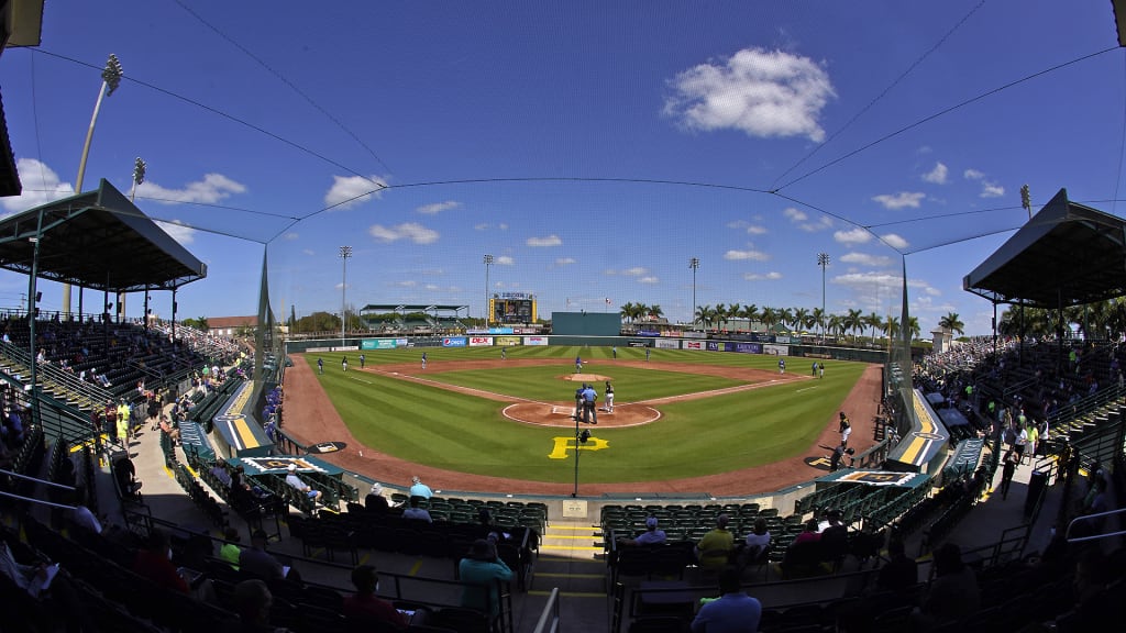 Game 17 Recap: Pirates vs. Braves;